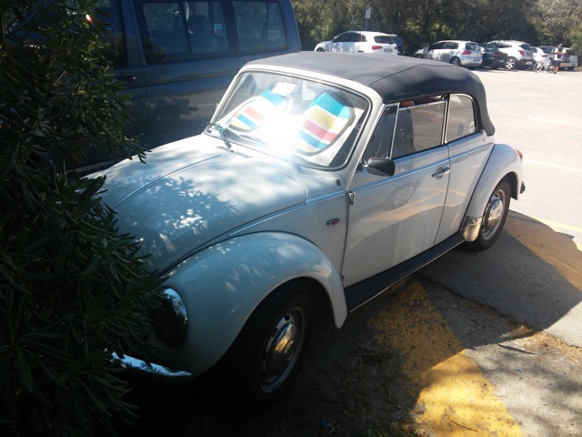 www.targhenere.net/images/001/volkswagen_maggiolino_-_fe_27_-_fronte_zpsqtiuvdmh.jpg