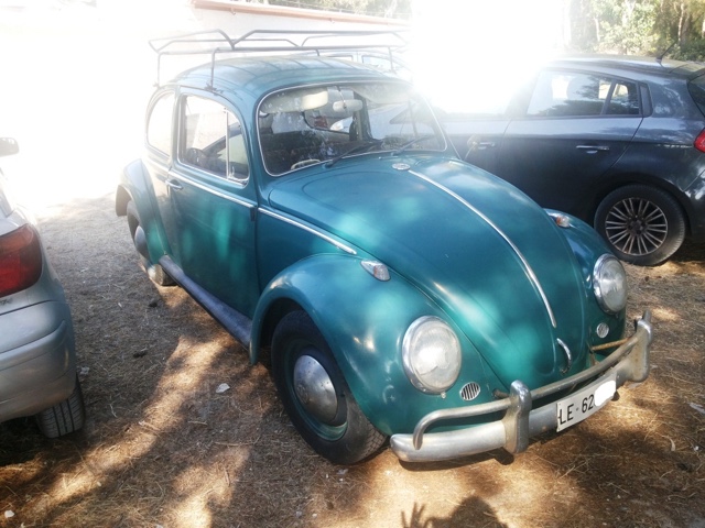 www.targhenere.net/images/002/vw_maggiolino_6v_anno_1965_tb_1991_2_zpsmsprbiwd.jpg