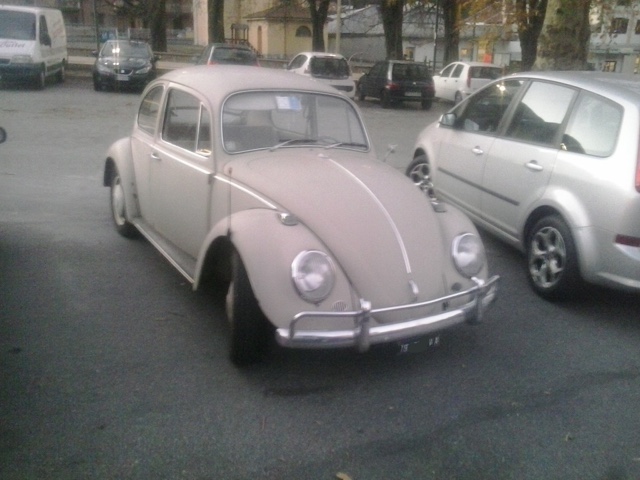 www.targhenere.net/images/005/maggiolino_6v_va_ant_zpsvqhdohcb.jpg