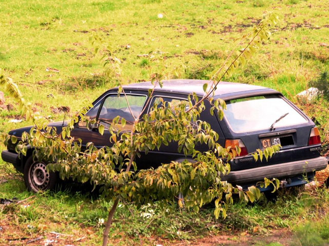 www.targhenere.net/images/005/volkswagengolfd1653cv25novembre83ct63_enea_tn17878_zpsemcmbq7h.jpg