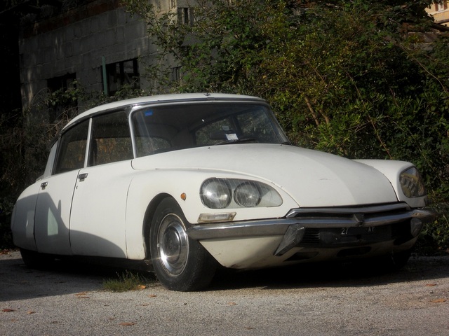 www.targhenere.net/images/media/citroen_ds_anno_nc_targhe_1983_ant2_tn14108_zps4e8d6123.jpg