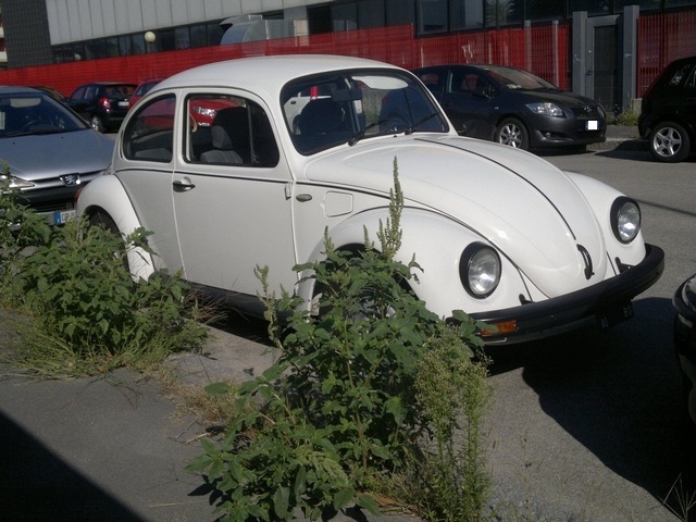 www.targhenere.net/images/media/vw1_zpsda217d74.jpg